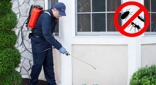 Tekkeköy Böcek ve Haşere İlaçlama böcek ilaçlama ve haşere kontrolü — ilaclama-tr.com